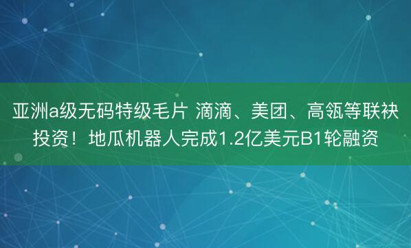 亚洲a级无码特级毛片 滴滴、美团、高瓴等联袂投资！地瓜机器人完成1.2亿美元B1轮融资