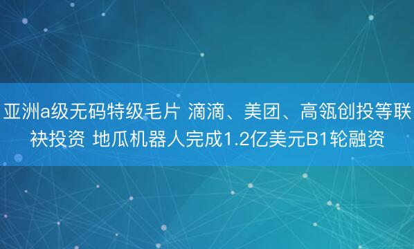 亚洲a级无码特级毛片 滴滴、美团、高瓴创投等联袂投资 地瓜机器人完成1.2亿美元B1轮融资