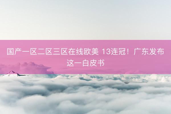 国产一区二区三区在线欧美 13连冠！广东发布这一白皮书