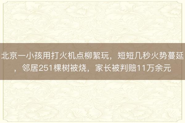 北京一小孩用打火机点柳絮玩，短短几秒火势蔓延，邻居251棵树被烧，家长被判赔11万余元