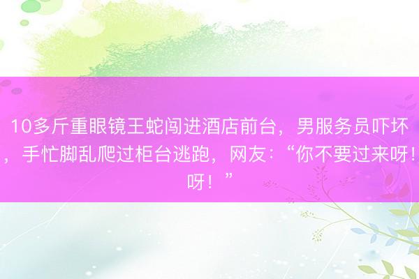 10多斤重眼镜王蛇闯进酒店前台，男服务员吓坏了，手忙脚乱爬过柜台逃跑，网友：“你不要过来呀！”