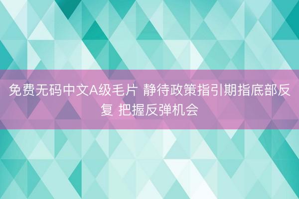 免费无码中文A级毛片 静待政策指引期指底部反复 把握反弹机会