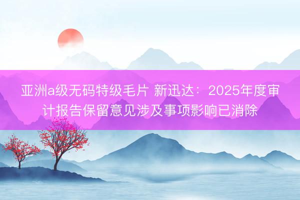 亚洲a级无码特级毛片 新迅达：2025年度审计报告保留意见涉及事项影响已消除
