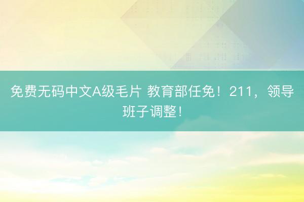 免费无码中文A级毛片 教育部任免！211，领导班子调整！