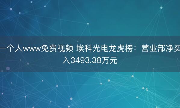 一个人www免费视频 埃科光电龙虎榜：营业部净买入3493.38万元