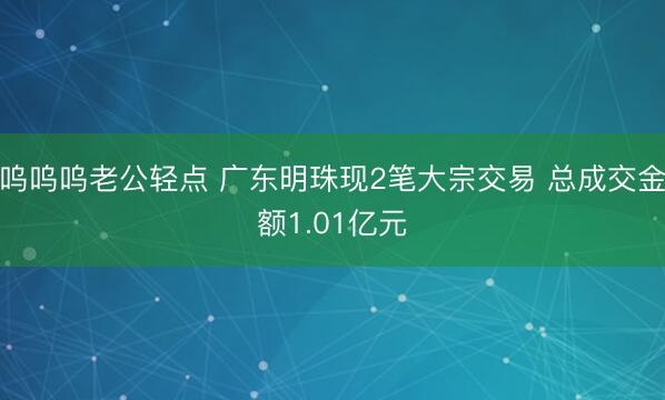 呜呜呜老公轻点 广东明珠现2笔大宗交易 总成交金额1.01亿元