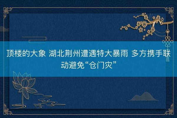 顶楼的大象 湖北荆州遭遇特大暴雨 多方携手联动避免“仓门灾”