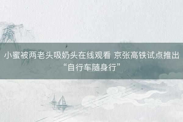 小蜜被两老头吸奶头在线观看 京张高铁试点推出“自行车随身行”