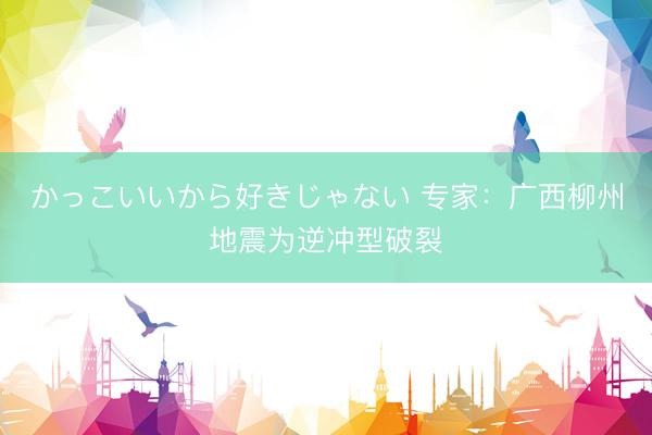かっこいいから好きじゃない 专家：广西柳州地震为逆冲型破裂