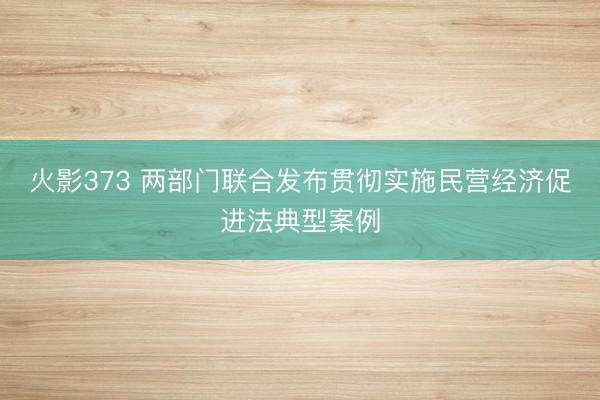 火影373 两部门联合发布贯彻实施民营经济促进法典型案例