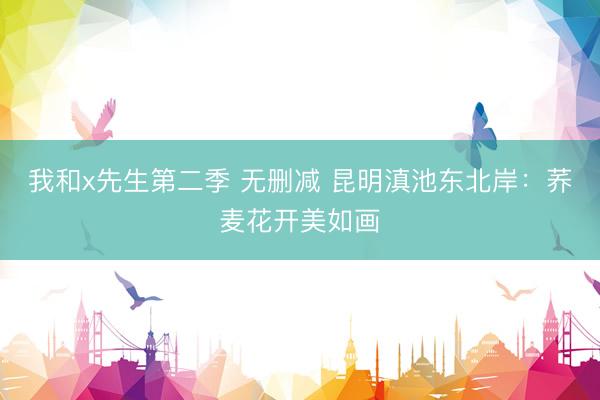 我和x先生第二季 无删减 昆明滇池东北岸：荞麦花开美如画
