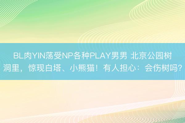 BL肉YIN荡受NP各种PLAY男男 北京公园树洞里，惊现白塔、小熊猫！有人担心：会伤树吗？