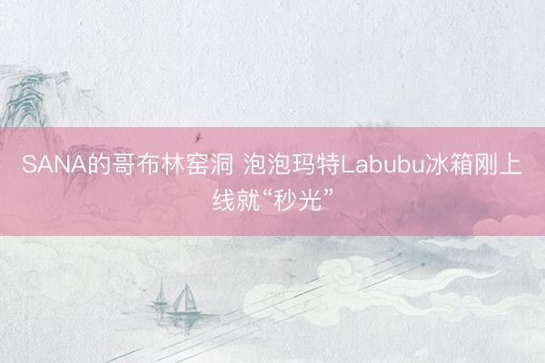 SANA的哥布林窑洞 泡泡玛特Labubu冰箱刚上线就“秒光”