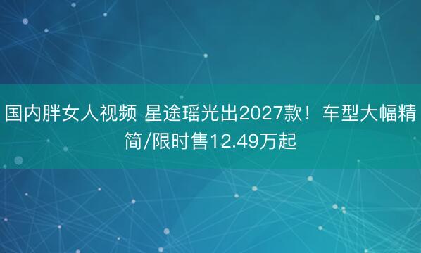国内胖女人视频 星途瑶光出2027款！车型大幅精简/限时售12.49万起