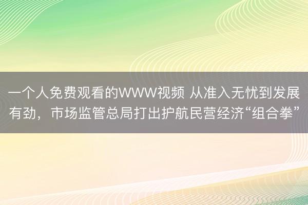 一个人免费观看的WWW视频 从准入无忧到发展有劲，市场监管总局打出护航民营经济“组合拳”