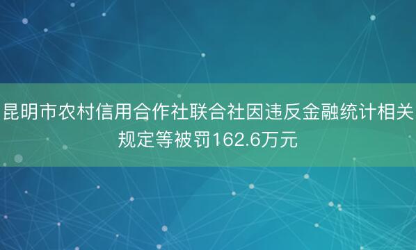 昆明市农村信用合作社联合社因违反金融统计相关规定等被罚162.6万元