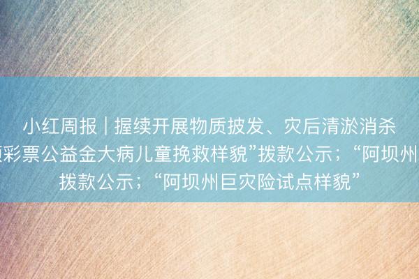 小红周报 | 握续开展物质披发、灾后清淤消杀责任；“中央专项彩票公益金大病儿童挽救样貌”拨款公示；“阿坝州巨灾险试点样貌”