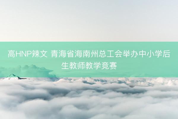 高HNP辣文 青海省海南州总工会举办中小学后生教师教学竞赛