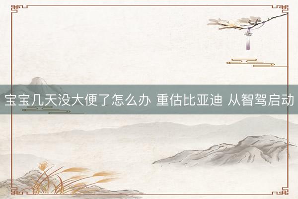 宝宝几天没大便了怎么办 重估比亚迪 从智驾启动
