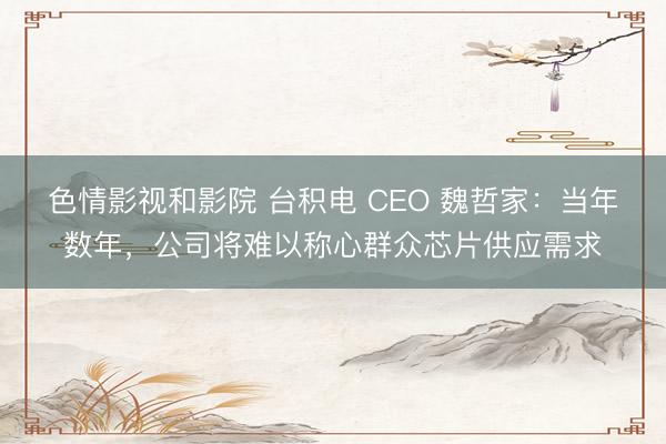 色情影视和影院 台积电 CEO 魏哲家：当年数年，公司将难以称心群众芯片供应需求