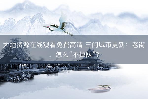 大地资源在线观看免费高清 三问城市更新：老街，怎么“不掉队”？