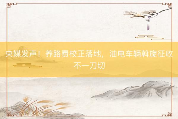 央媒发声！养路费校正落地，油电车辆斡旋征收不一刀切