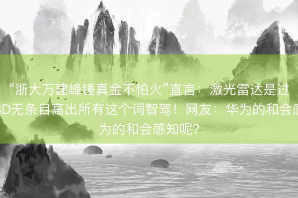 “浙大万建峰锤真金不怕火”直言：激光雷达是过剩，FSD无条目高出所有这个词智驾！网友：华为的和会感知呢？